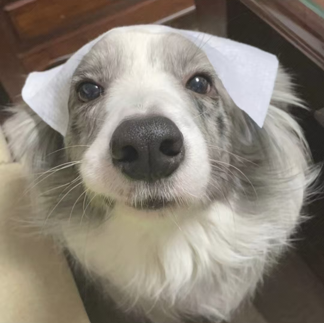 玩家1342941833010651136