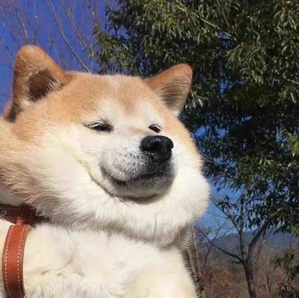 玩家1182855118341742592