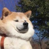 玩家1182855118341742592