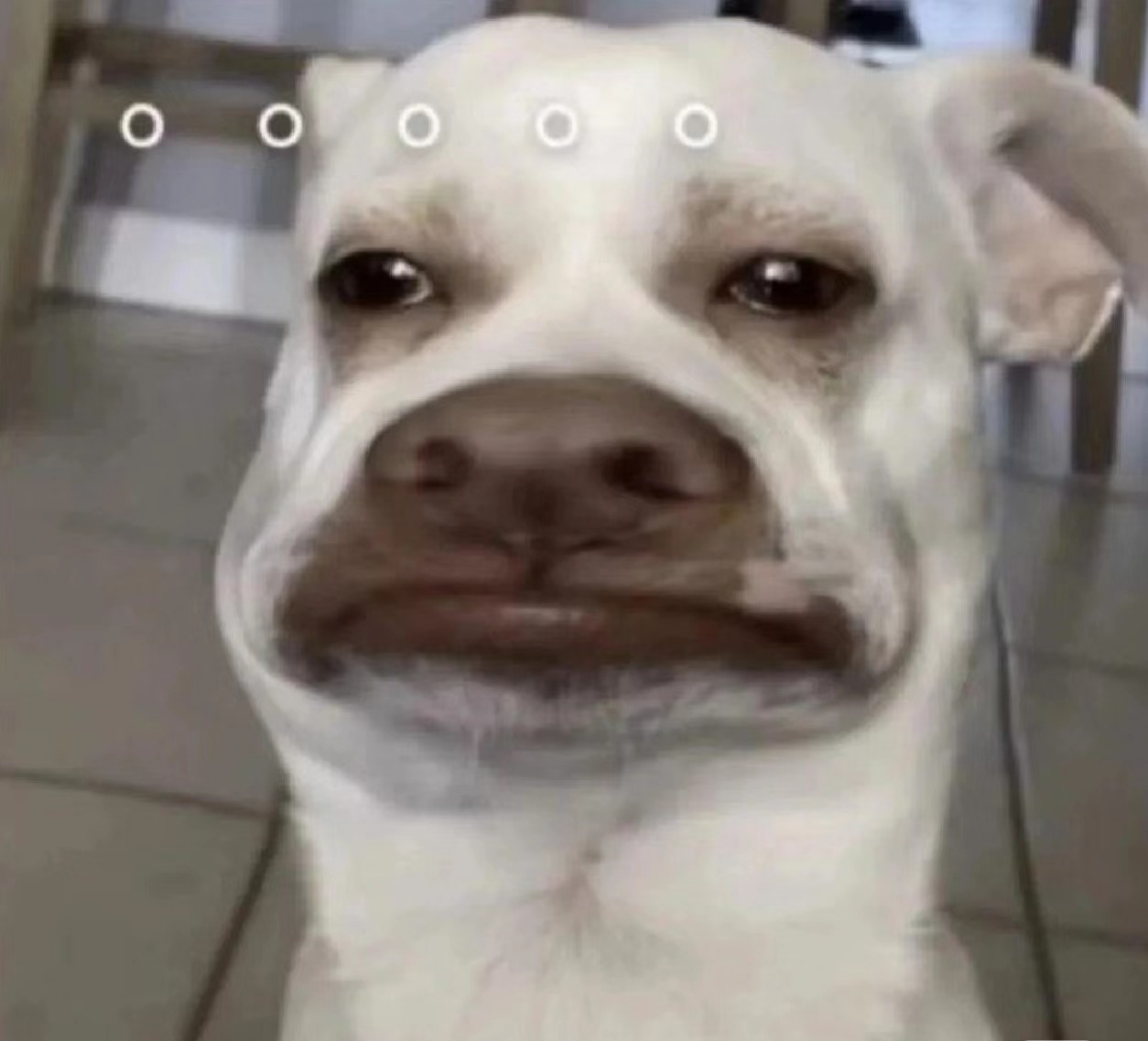 玩家1284039185318346752