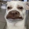 玩家1284039185318346752