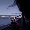 风起渐凉