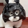 皮蛋瘦肉粥