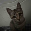 您猜怎么着