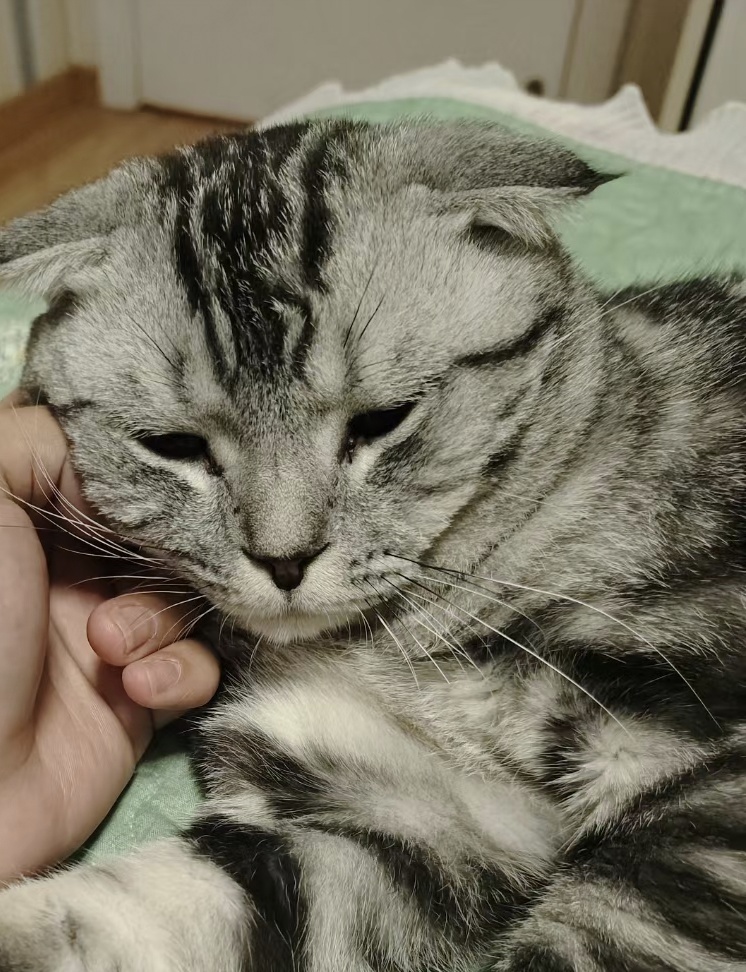 玩家1383293364421570560