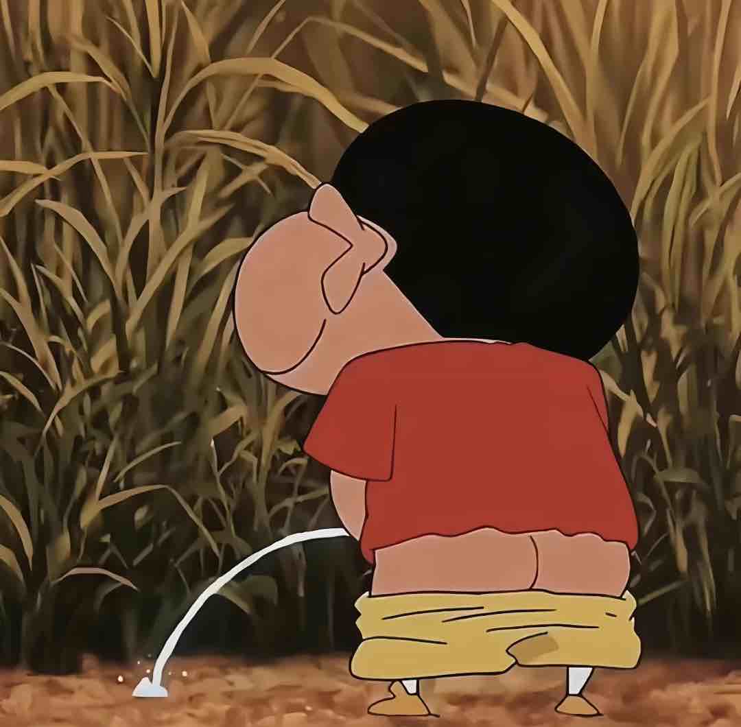 璃泽晓lzx