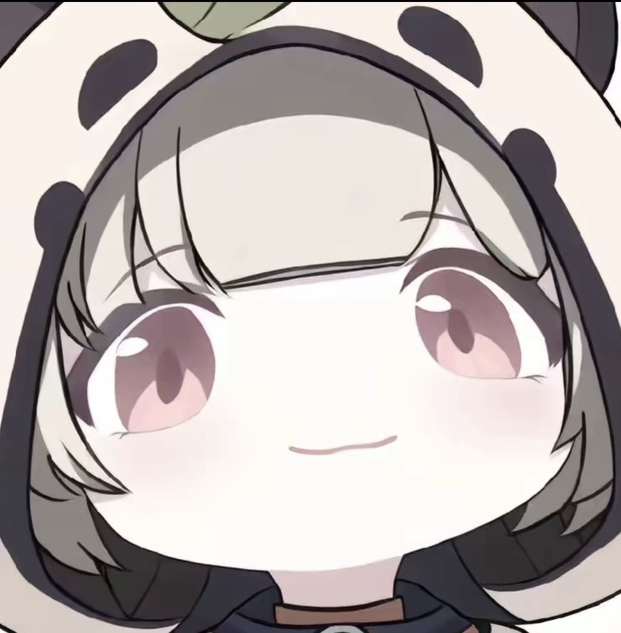 阳仔不是阳崽