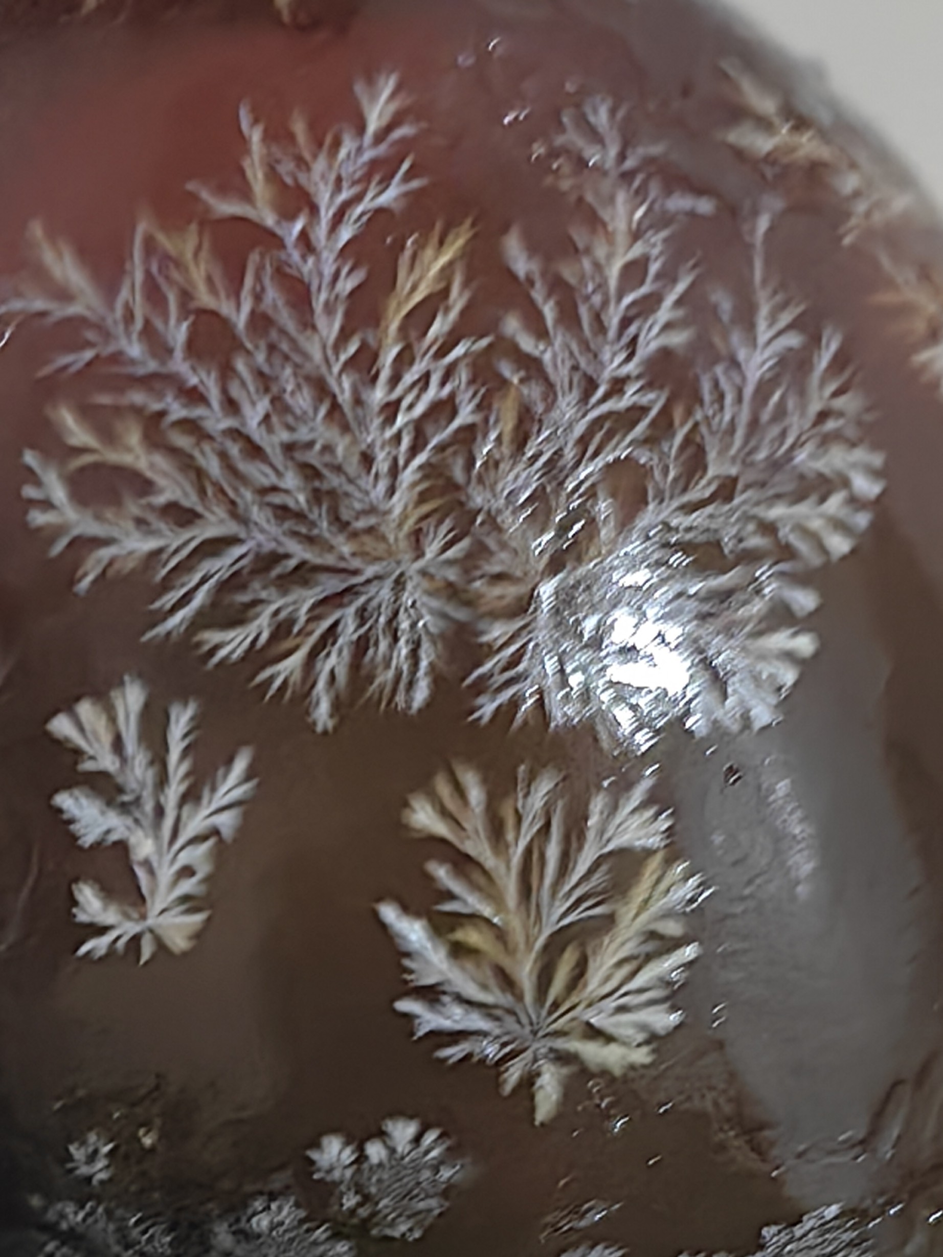 祝哥哥发财又健康