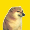 cheems