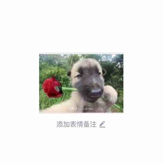 老板买我开箱出金炼金不炸