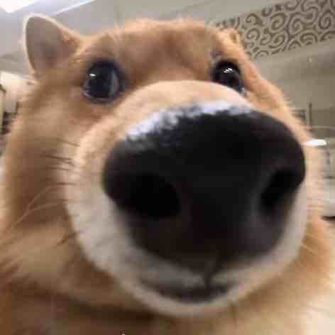 玩家1383646509155409920