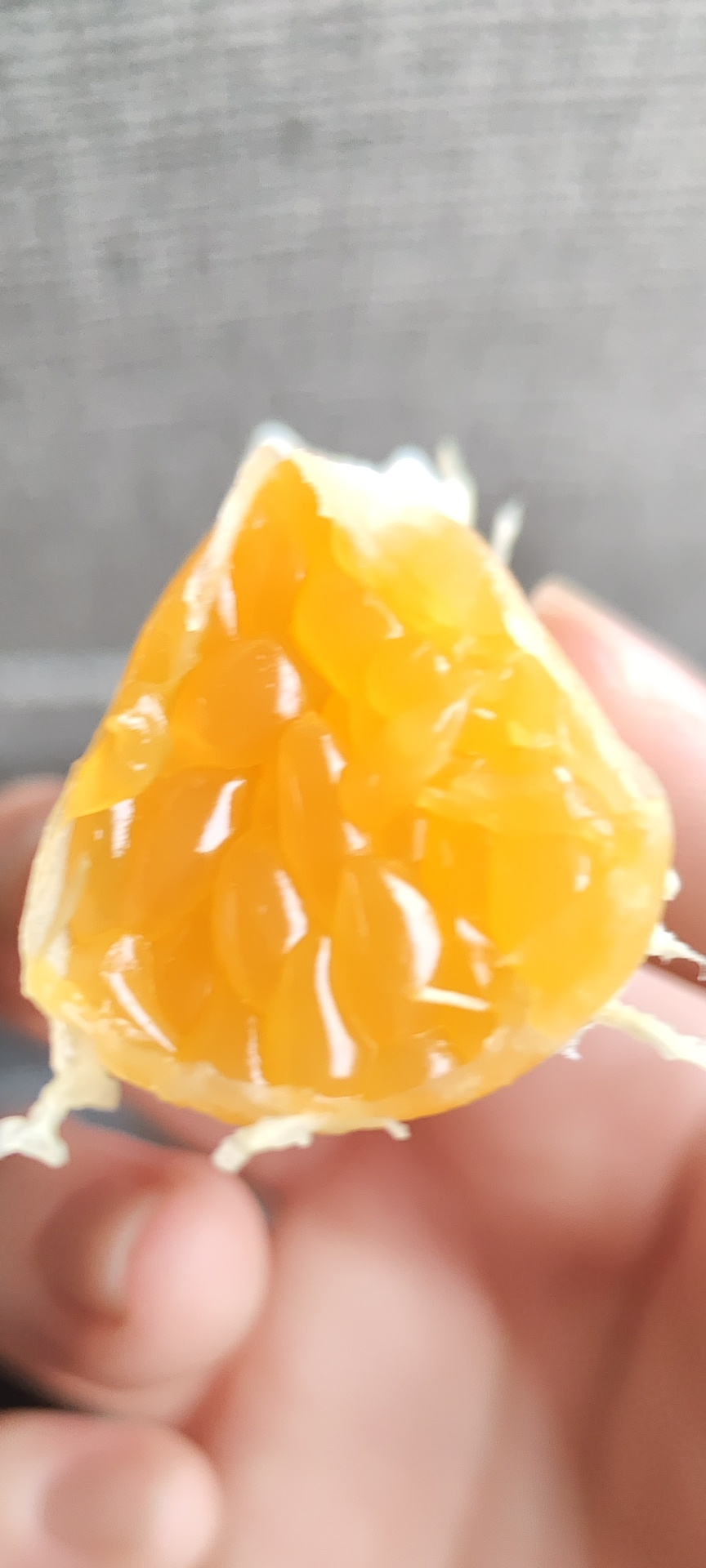 我的我的www