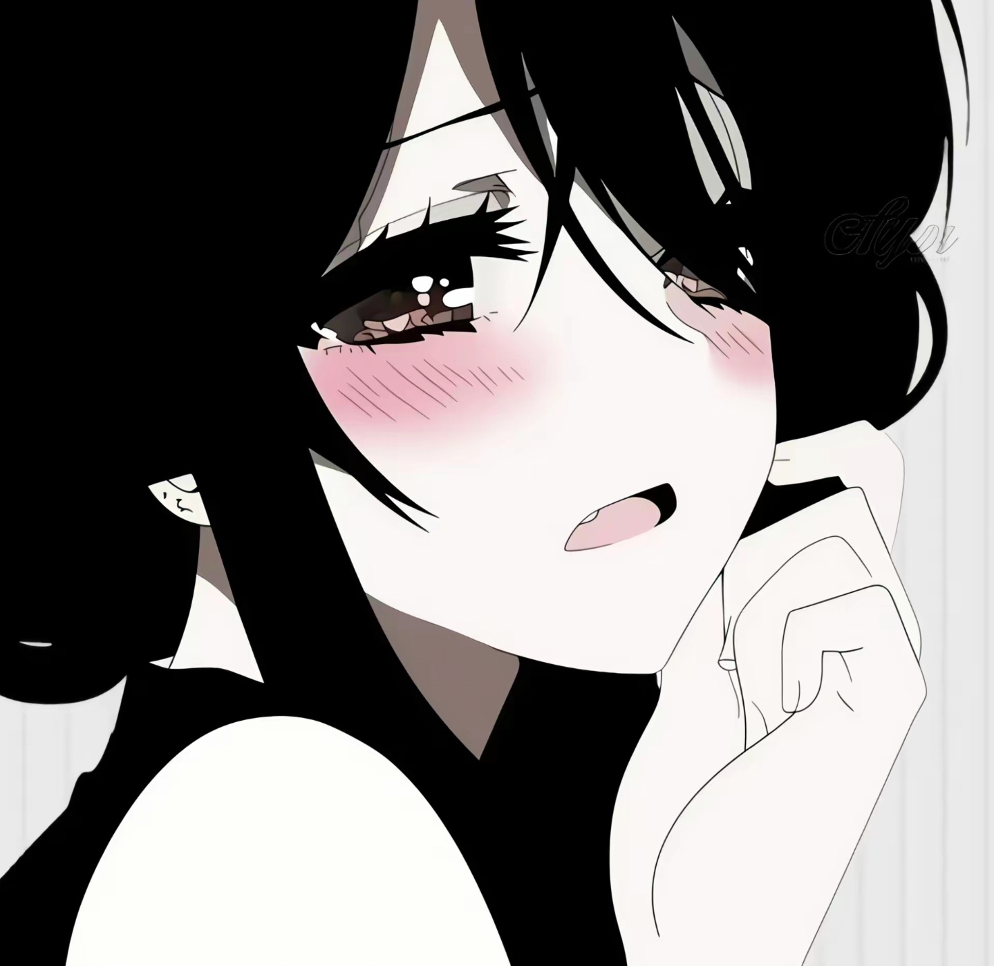 独爱南京十二钗