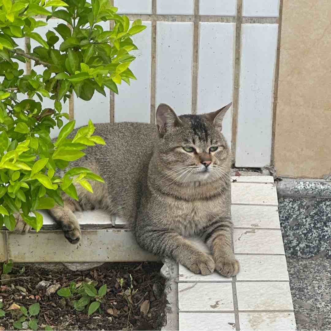 玩家1213941705136459776