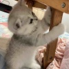 玩家977352176320258048