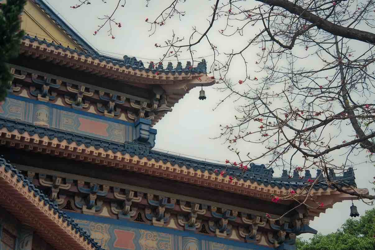 天选之子