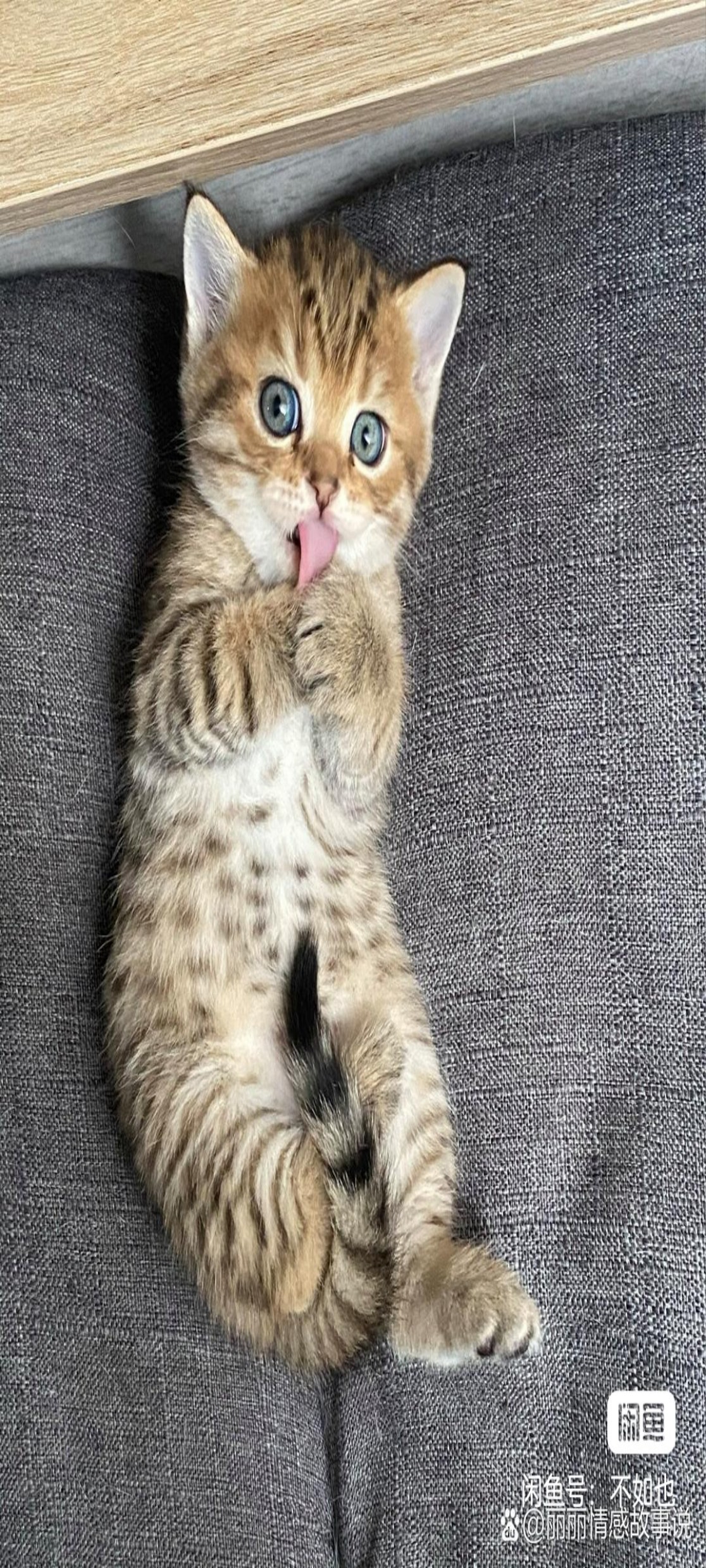 好货秒发不等待