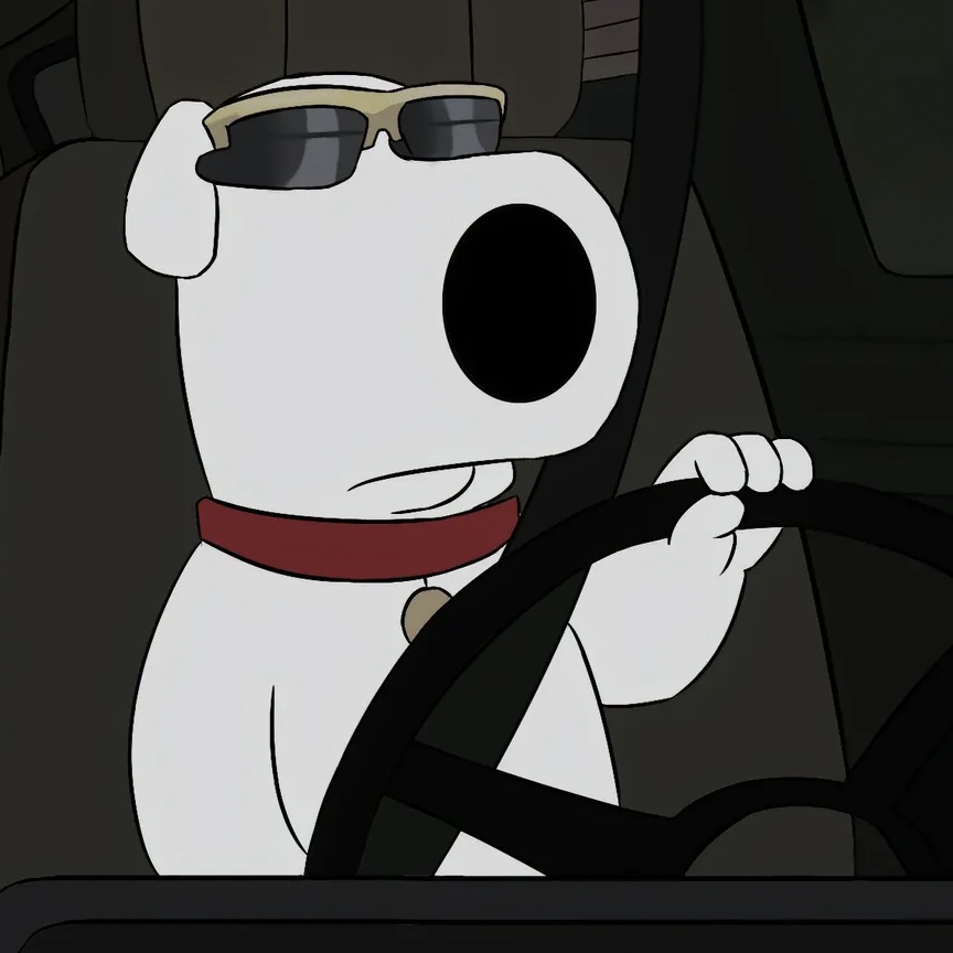 她说从未喜欢我