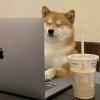 玩家82368477