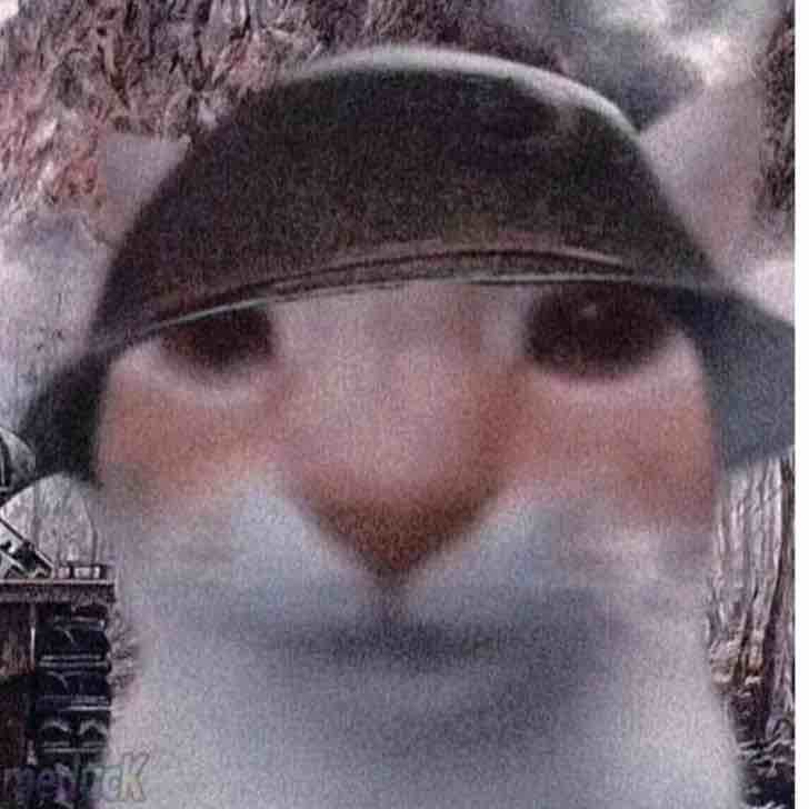 我了个豆啊