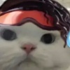 秒拍秒发