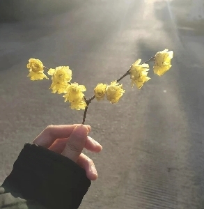 精品秒发