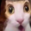 AAAAAAA