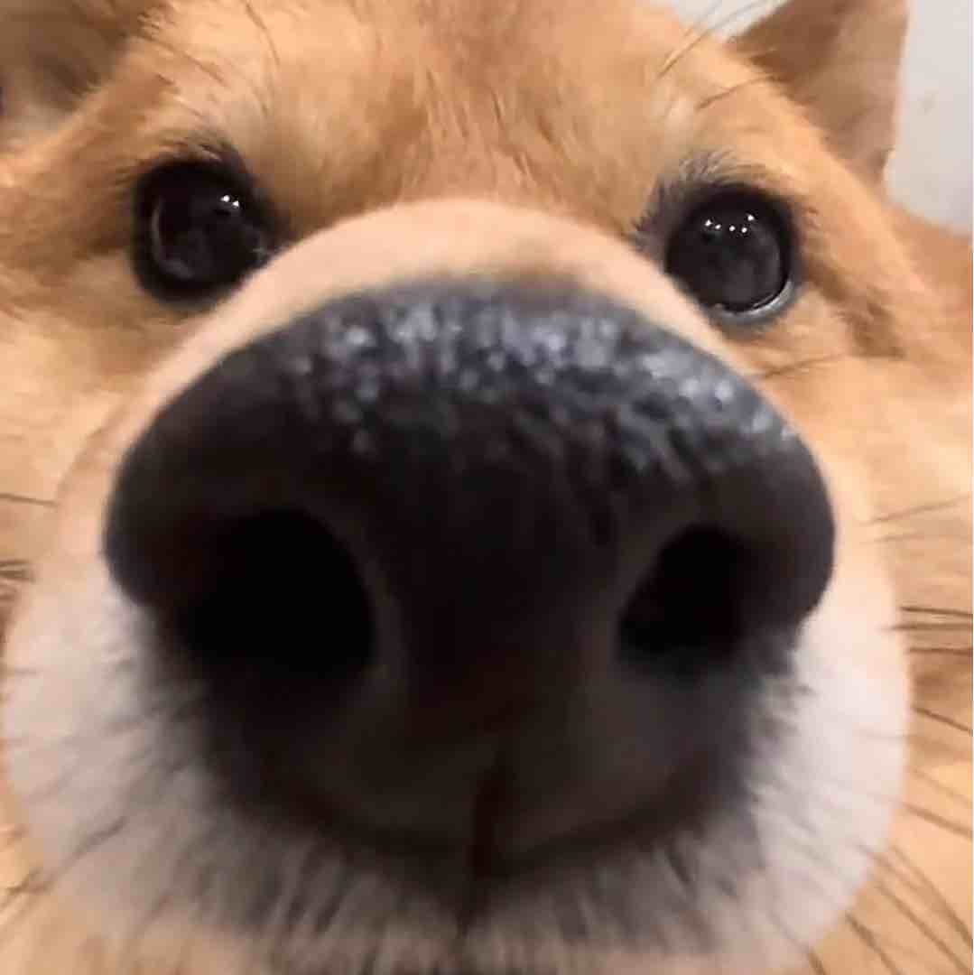 玩家1388898123738771456