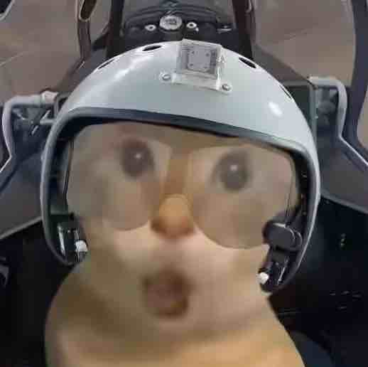 玩家1389923757734445056