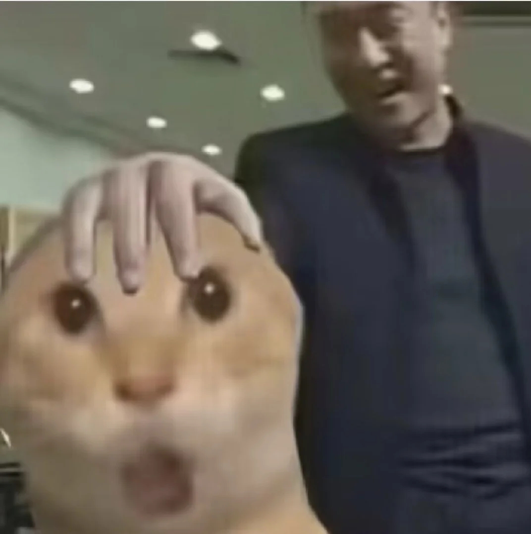 二二不是耳耳
