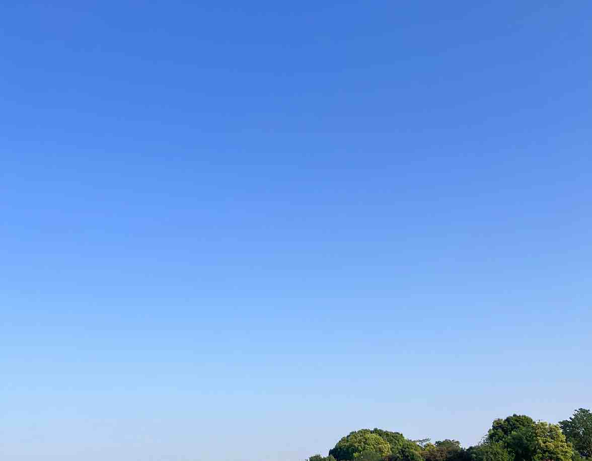 泡泡他爹