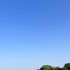 泡泡他爹