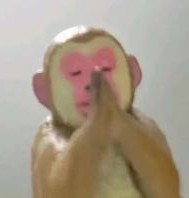 秒发妙接