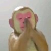 自用玩家