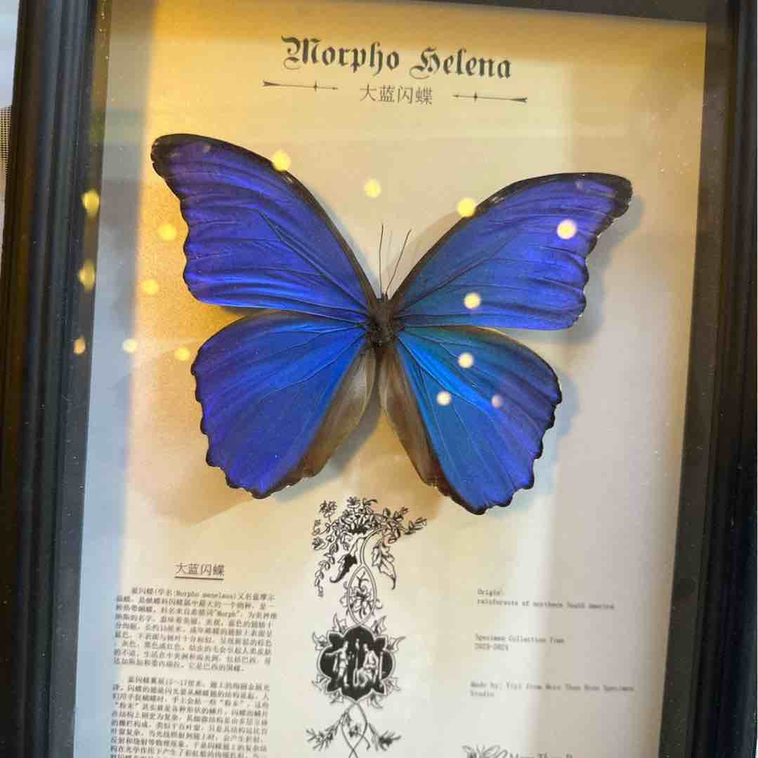 压价没虎木