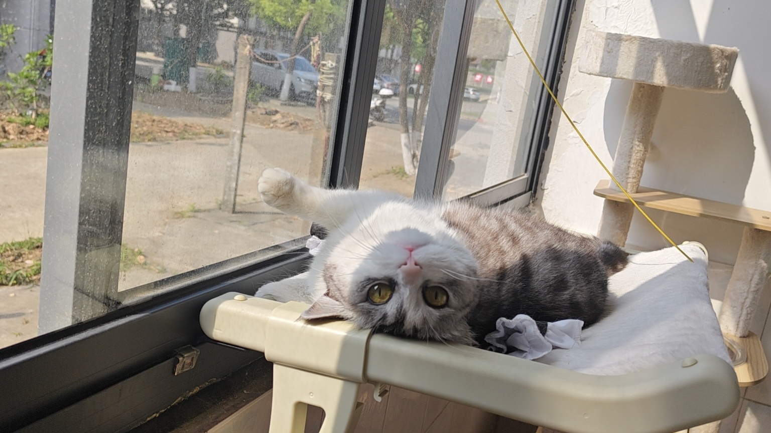 小野mio