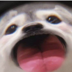 恩希电电