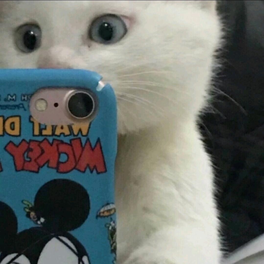 玩家862857383180390400