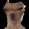 MisteryTek