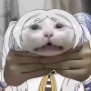 Padoru