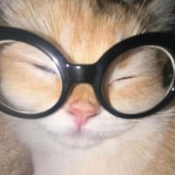 大学生在线秒发oooo