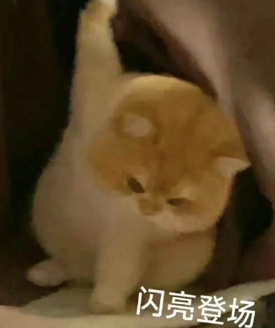 烤全羊肖恩