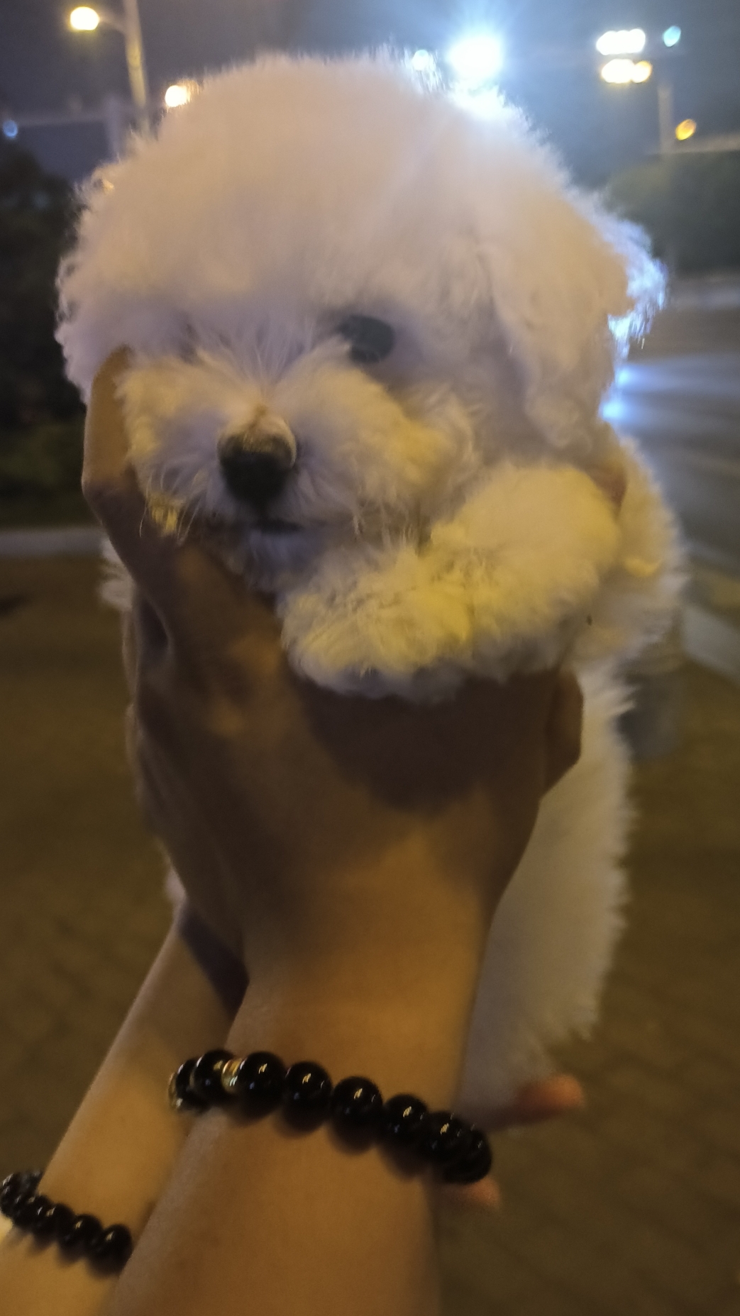 老板我秒发你箱箱出金