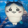 爱吃小韭菜