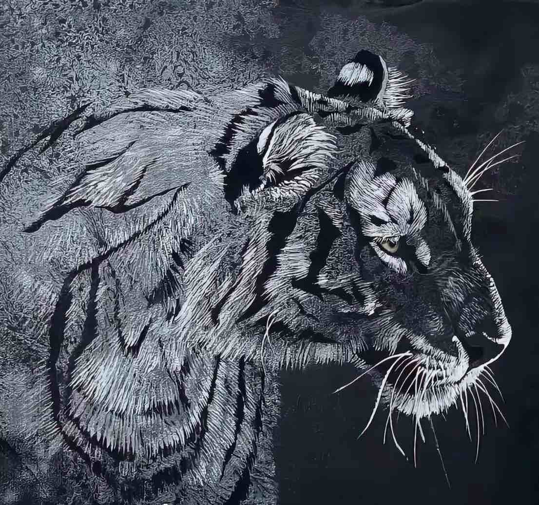 好哥哥看看我