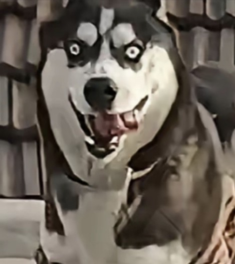 玩家1395074823147577344