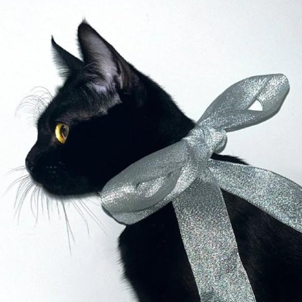 玩家1405801455284920320