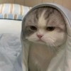 玩家663695130851168256