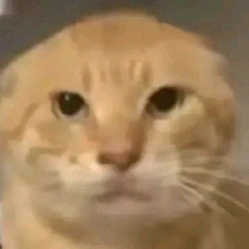 maghple