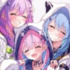 Maple_VV